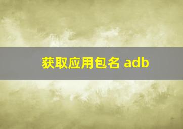 获取应用包名 adb